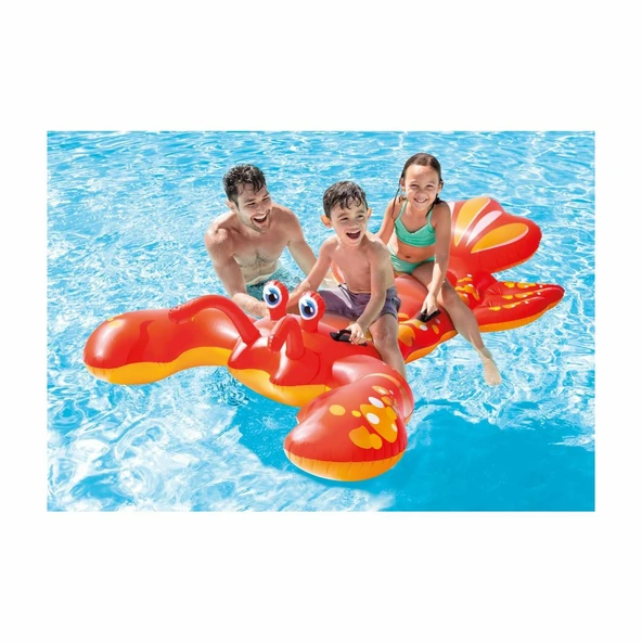 IBN57528 Istakoz Binici 213X137 cm - Vardem Oyuncak - 4