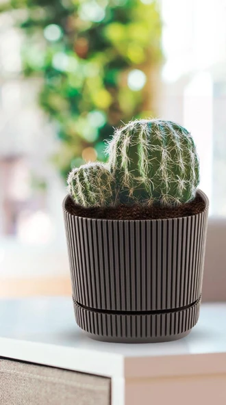 Omnipazar KRS-241 Pera Kare Dekoratif Kaktus Sukulent Saksı 0,60 Litre No 1 - 12