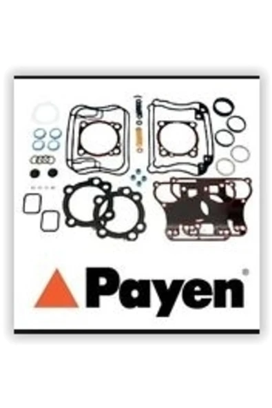 Payen DY391 Üst Takım Conta Alfa 145 1.4 146 1.4 Twın Spark 16v  Dy390