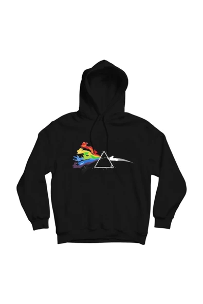 fame-stoned  Pink Floyd Baskılı Kapşonlu Sweatshirt ürün görseli 1