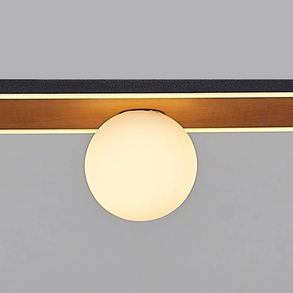 A-2416-3 MEŞE PLAFONYER - 3