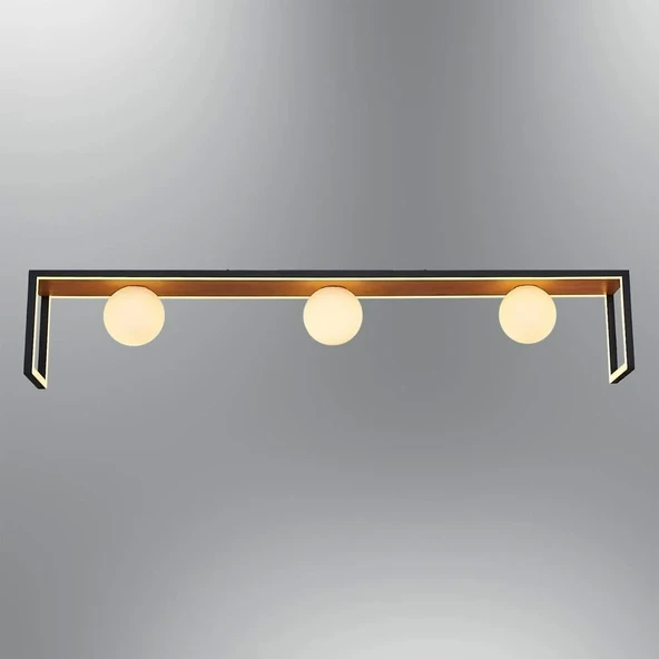 A-2416-3 MEŞE PLAFONYER - 4