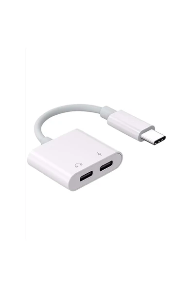 BİLİŞİM BURADA ZR293 FTAC42 TYPE-C 2 İN 1 CONVERTER ADAPTÖR