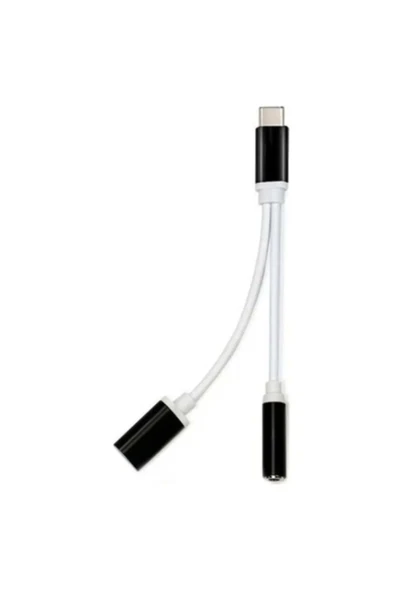 BİLİŞİM BURADA ZR310 FT AC 20 TYPE-C 2 İN 1 ÇEVİRİCİ