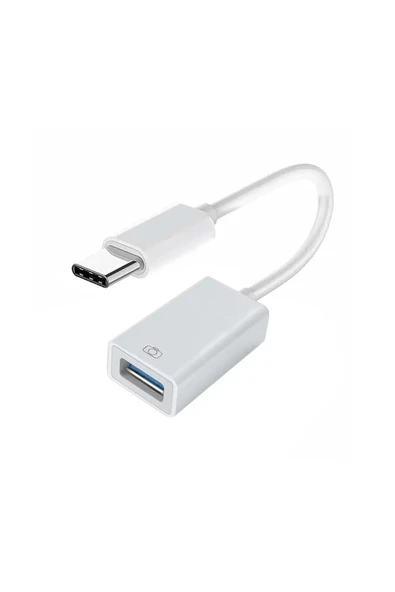 BİLİŞİM BURADA ZR575 TYPE-C TO OTG USB 3.0 ÇEVİRİCİ