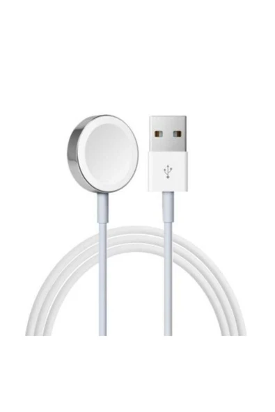 BİLİŞİM BURADA ZR467 WATCH ŞARJI USB METAL HIZLI ŞARJ