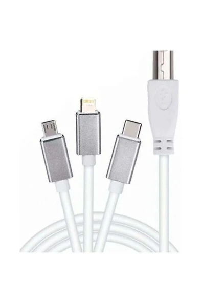 BİLİŞİM BURADA ZR362 ADS 501 TYPE-C 3 İN 1 YAZICI KABLOSU