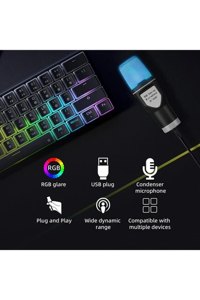 Bilişim Burada Yanmai SF-666r RGB Oyuncu Yayıncı Mikrofonu - 4