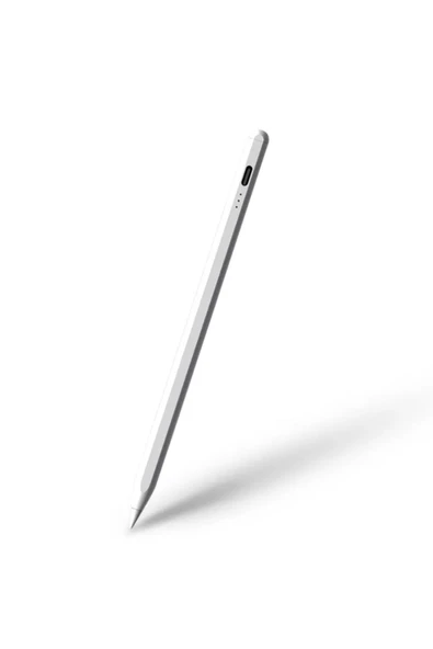 BİLİŞİM BURADA ZR706 JT18-P DOKUNMATİK KALEM