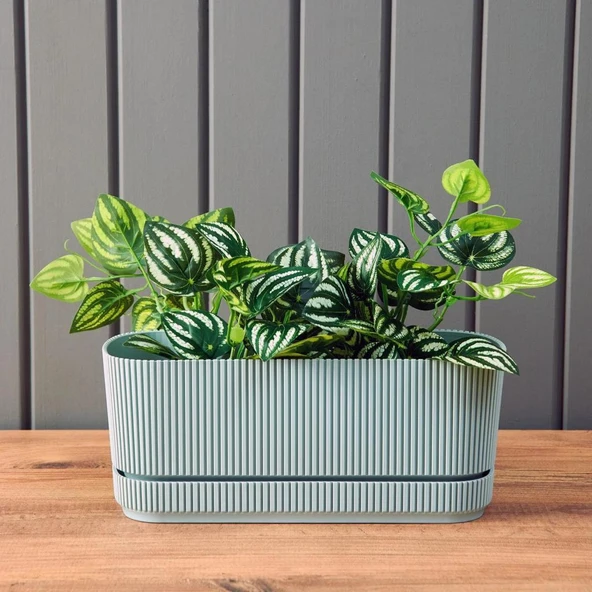 Omnipazar KRS-246 Pera Uzun Dekoratif Balkon Saksı 3 Litre No 2 - Resim 2