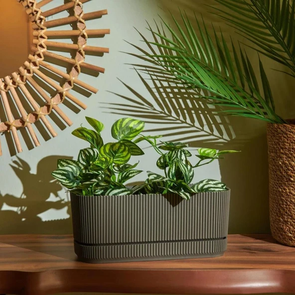 Omnipazar KRS-246 Pera Uzun Dekoratif Balkon Saksı 3 Litre No 2 - Resim 8