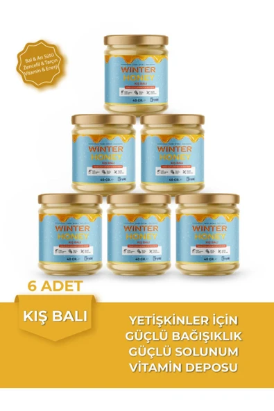 WINTER HONEY Meyan Köklü-akciğer Detoxu Çam Kozalaklı Kış Balı 40 Gr. Yetişkinler Için ( 6 Adet )