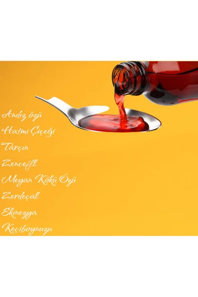 aleyna baharat Madenci Şurubu 230 gr Tabib Lokman 3 Adet - 2