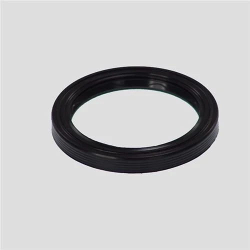SKT 46131  Aks Keçesi H100 55X70X8