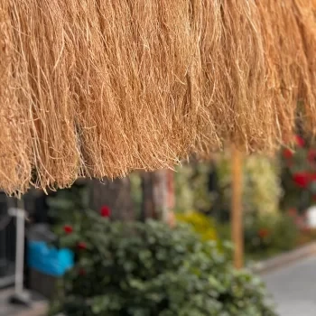 HASIR PÜSKÜLÜ - 3