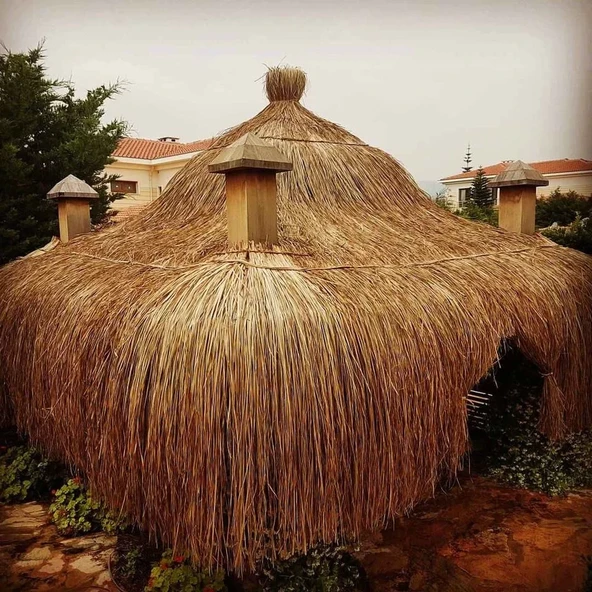 HASIR PÜSKÜLÜ - 4