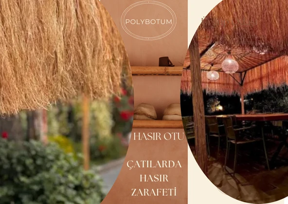 HASIR PÜSKÜLÜ - 2