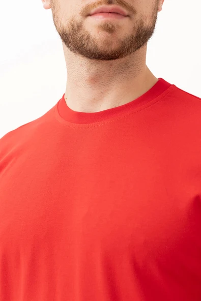 Padus Basic T-Shirt - Şıklığın ve Konforun Buluşma Noktası - Resim 4