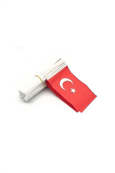 Süpertrend Çubuklu Kağıt Bayrak (80'li) 12x20 cm