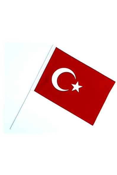 Süpertrend Sopalı Kumaş Bayrak 20x30 cm - 2
