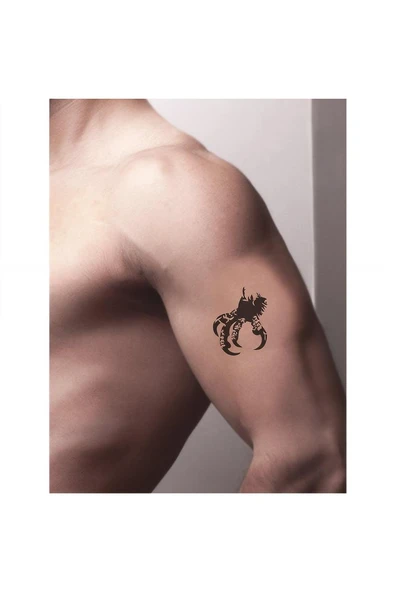 Süpertrend Kartal Pençesi Tattoo Geçici Dövme Şablonları Kına Kalıpları - 2