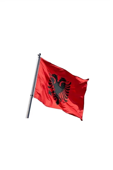 Kruvazör Arnavutluk Bayrakları
