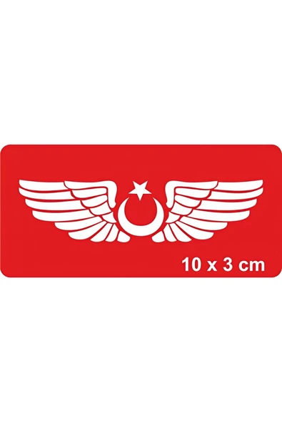 Kruvazör Türk Kuşu Kanatları Tattoo Geçici Dövme Şablonları Kına Kalıpları