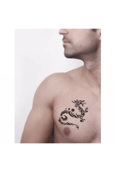 Kruvazör Ateşin Çocuğu Ejderha Tattoo Geçici Dövme Şablonları Kına Kalıpları - 2