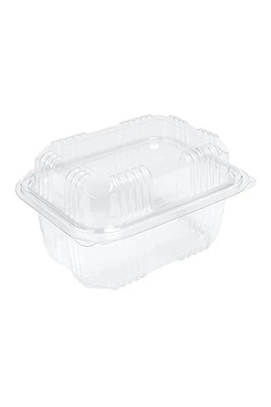 Süpertrend  Sızdırmaz Kendinden Kapaklı Plastik Kap - Peynir Kabı 500 Gr (100'lü)