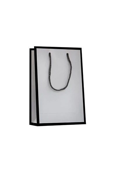 Süpertrend Mat Gümüş Karton Çanta 26x40 - 2