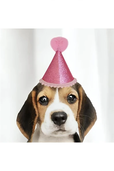 Kruvazör Mini Party Hat