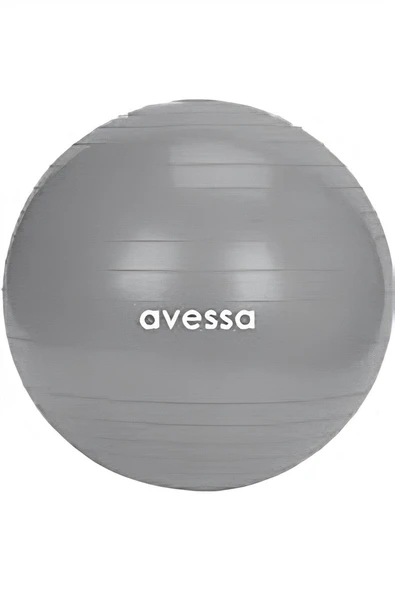 Kruvazör AVESSA PLT-65 PLATES TOPU 65 CM GRİ (10)