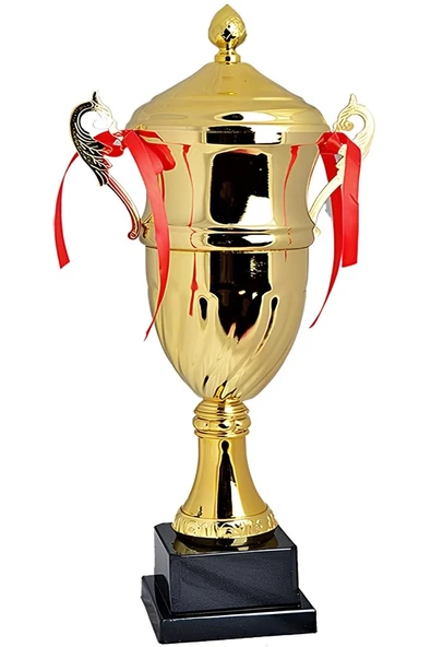 Kruvazör AVESSA KUPA MODEL 3008 C KAPAKLI 47 CM (20)