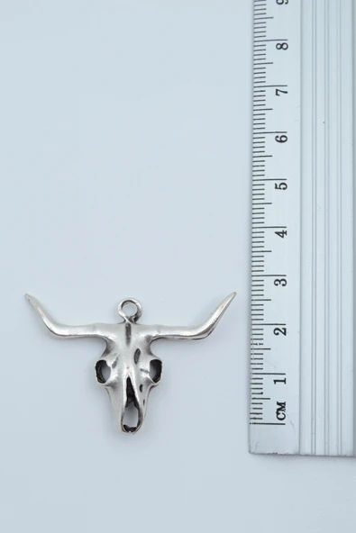 Boğa - Kuru Kafa Gümüş Kaplama Deri İp Kolye - Resim 3