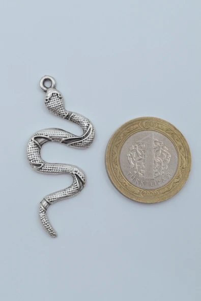 Yılan Gümüş Kaplama Deri İp Kolye - Resim 4