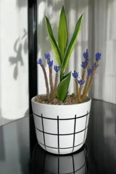 Omnipazar KRS-212 Dekoratif Karo Desenli Saksı 2.8 Litre No 2 - Resim 5