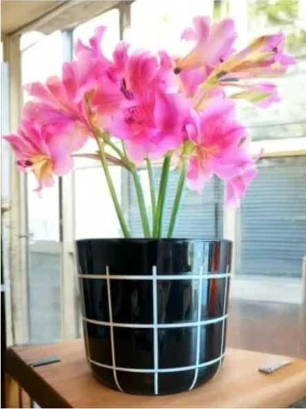 Omnipazar KRS-212 Dekoratif Karo Desenli Saksı 2.8 Litre No 2 - Resim 2