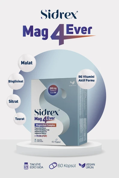 Mag4ever Magnezyum ve Vitamin B6 İçeren Takviye Edici Gıda 60 KAPSUL