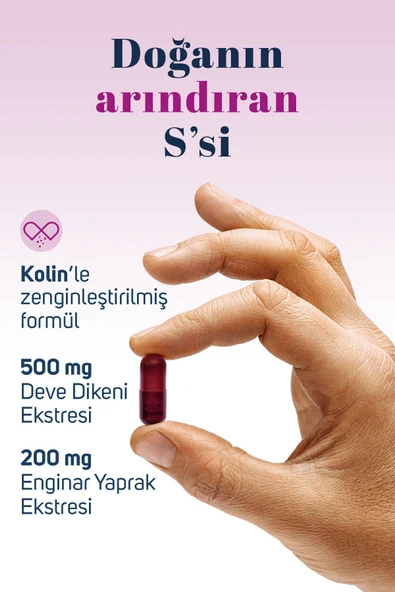Milk Thistle Complex Deve Dikeni Ekstresi Ve Enginar Ekstresi Içeren Takviye Edici Gıda 60 Kapsül - 3