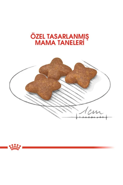 SKY TOPTAN Royal Canin Mini Adult Küçük Irk Yetişkin Köpek Maması 2 Kg - 3