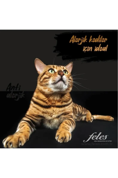 FELES %100 Tozsuz Kedi Kumu 20 Litre - 5