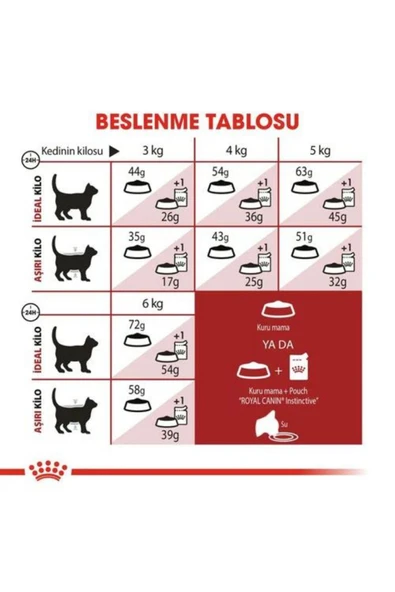 Royal Canin ROYAL CANİN FİT 32 4 KG KEDİ KURU MAMASI - 2