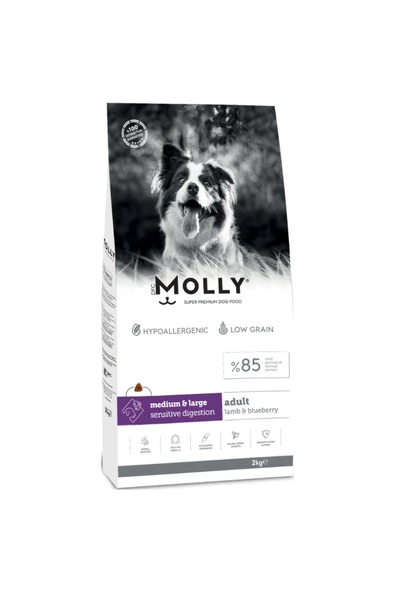 Molly Medium Adult Kuzu Etli & Yaban Mersinli Orta ve Büyük Irk Yetişkin Köpek Maması 2 Kg