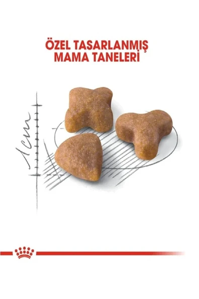 Royal Canin Royal Kanin Sensıble 33 Hassas Yetişkin Kedi Maması 2kg - 6