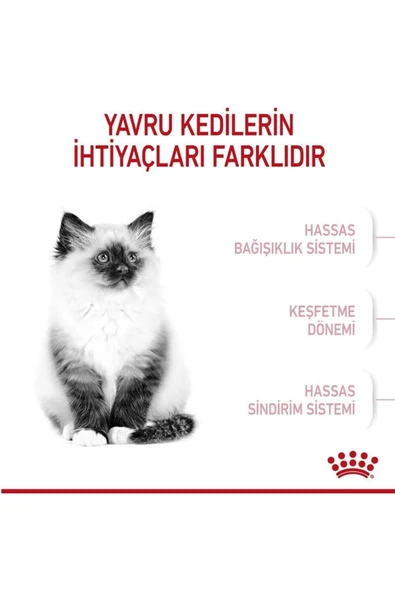 Alisopping Royal Canin Kitten Yavru Kedi Maması 2 Kg - 2