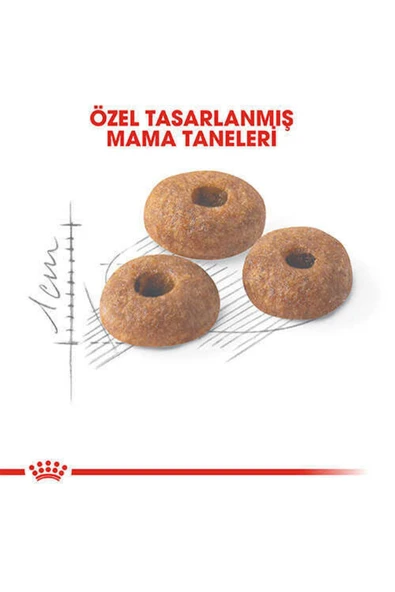 YASELF Royal Canin Fit 32 Yetişkin Kedi Maması 2 Kg - 2