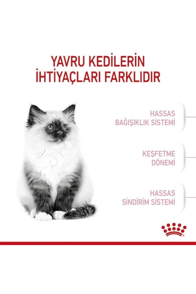 Royal Canin Kitten Yavru Kedi Maması 2 Kg. - 2