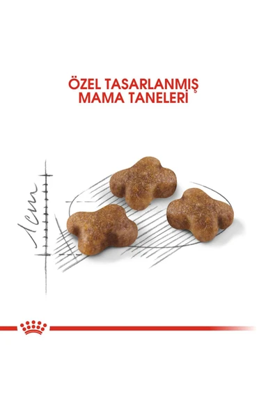 Royal Canin Kitten Yavru Kedi Maması - 2 Kg - 2