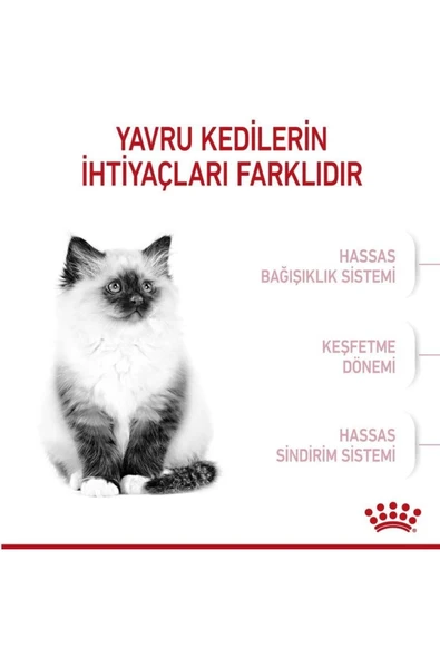 Alisopping Royal Canin Kitten Yavru Kedi Maması 2 Kg - 5