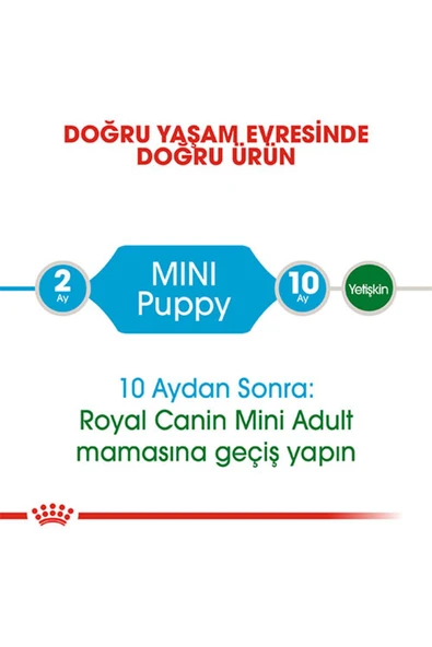 SKY TOPTAN Royal Canin Mini Puppy Küçük Irk Yavru Köpek Maması 2 Kg - 2
